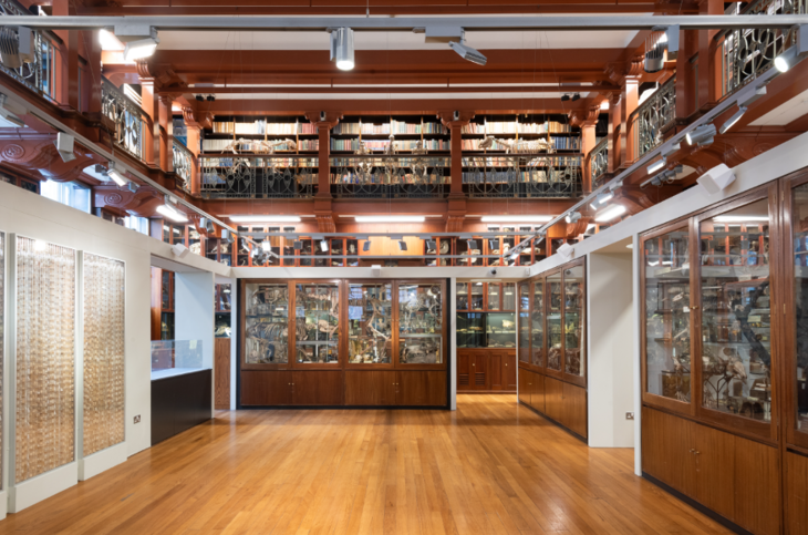 The Grant Museum