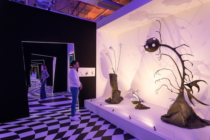A man looking at strange Burton-esque shapes on display