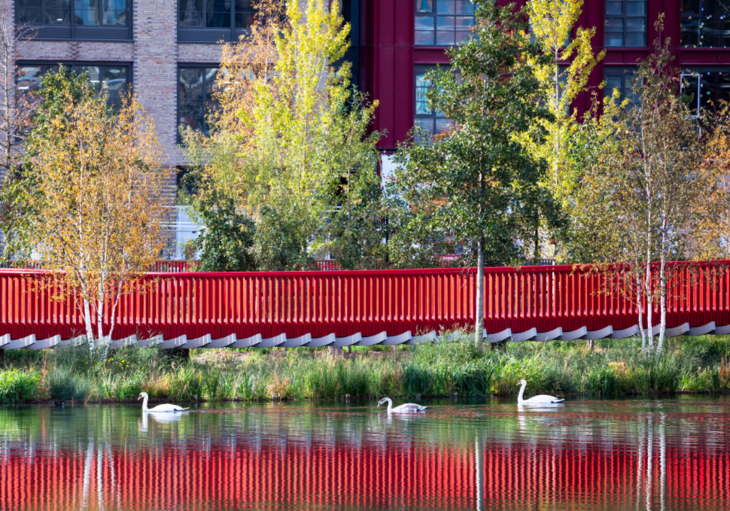 The bridge from the side, with swan on the water below it