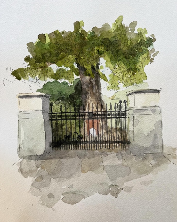 A canine grave