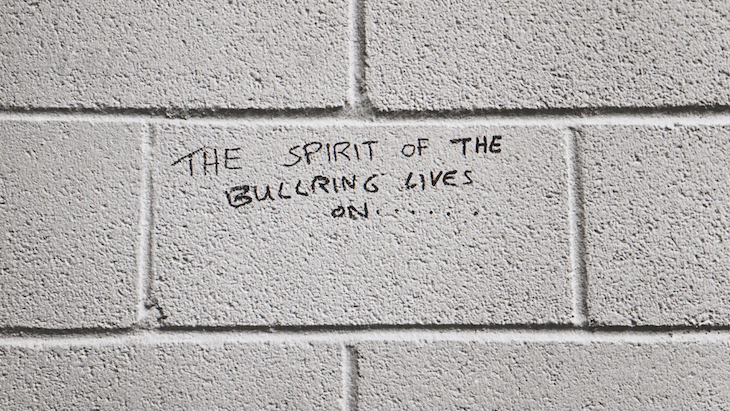 The Spirit of the bullring lives on