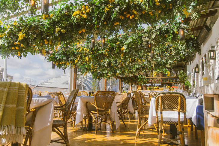 Best rooftop bars London: A lemon tree festooned terrace