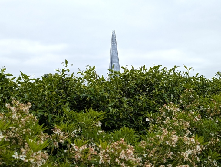 The Shard poking up above foliage
