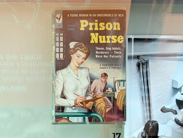 A trashy book - 'Prison Nurse'
