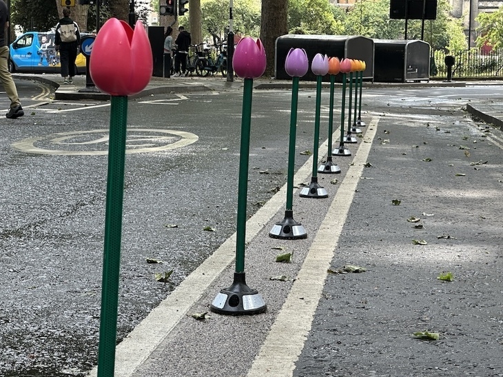 A tulip cycle lane