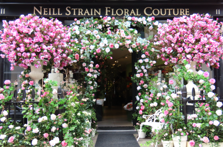 Pink roses flanking the door to Neill Strain florist in Belgravia