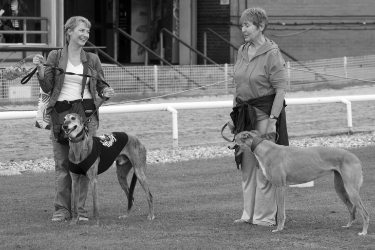 Crayford dog stadium is no more