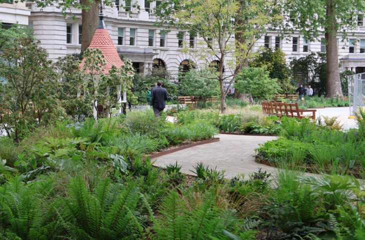 A person waling along a wide curving footpath surrounded by plants
