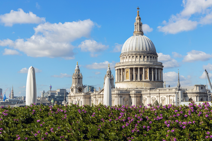 A garden overlooking St Paul's