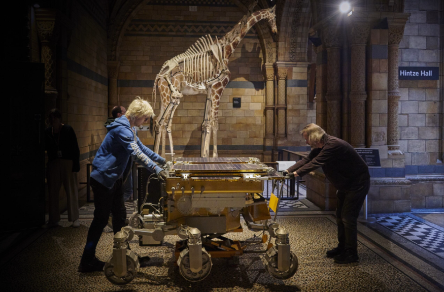 A replica of the Mars Rover being pushed past a taxidermied giraffe at the Natural History Museum