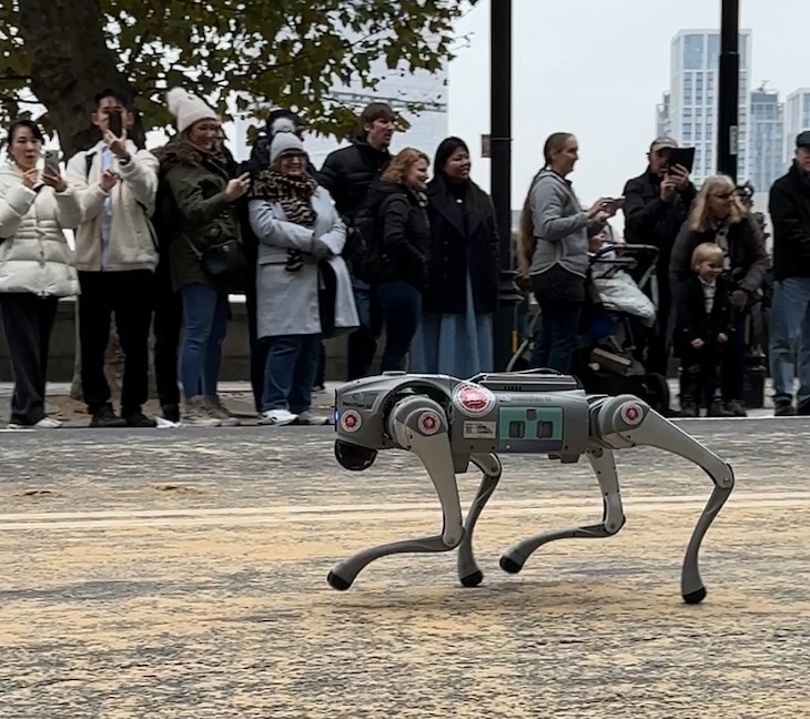 Robot dog in the Lord Mayor's Show