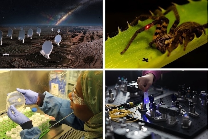 Four scientific images