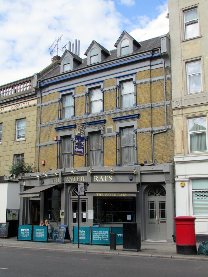 The Water Rats