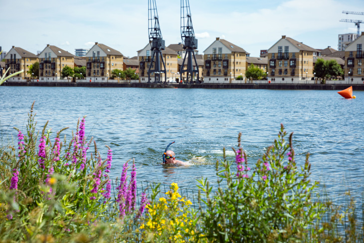 A person snorkelling in the docks