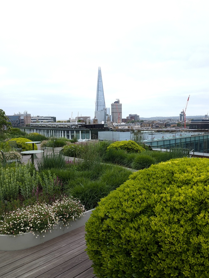 A rooftop garden with the Shard in the background
