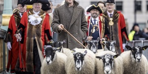 See A Celebrity Herd 50 Sheep Over Southwark Bridge
