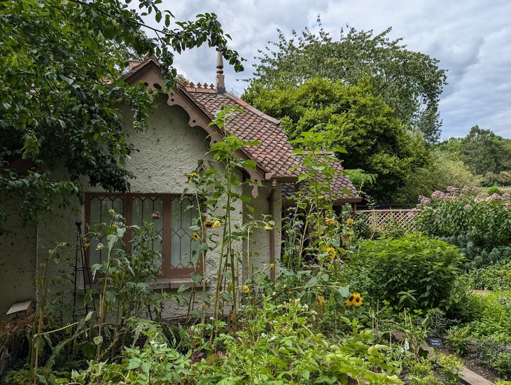 The cottage behind sunflowers