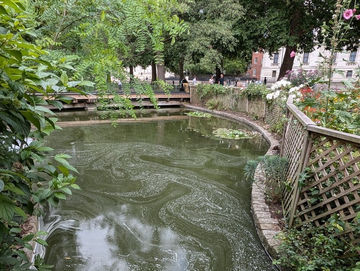 The water surrounding Duck Island