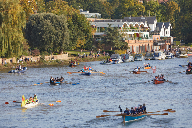 Lots of row boats on the Thames