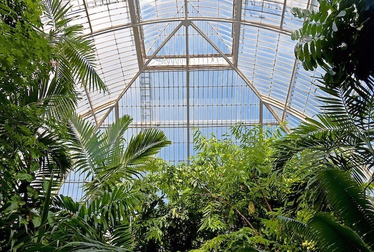 Inside the Palm House at Kew