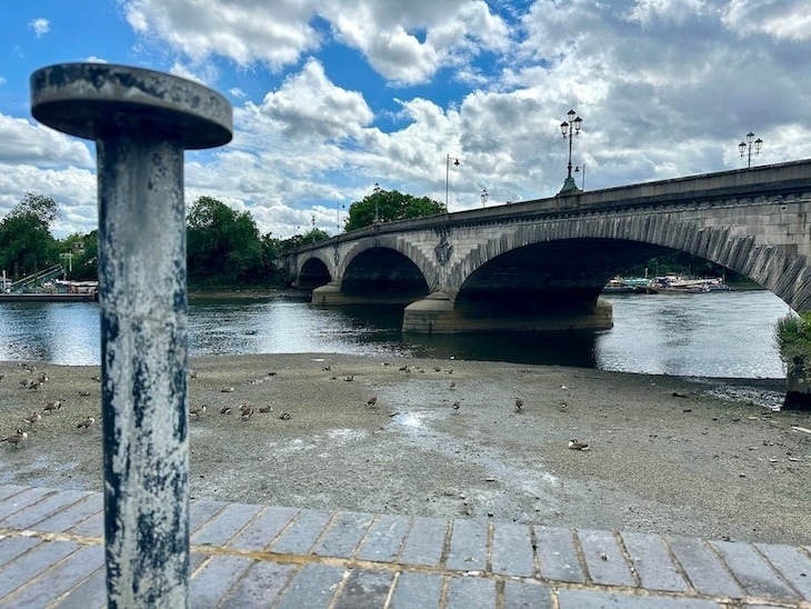 Kew bridge, the thames and a giant nail thing in foreground