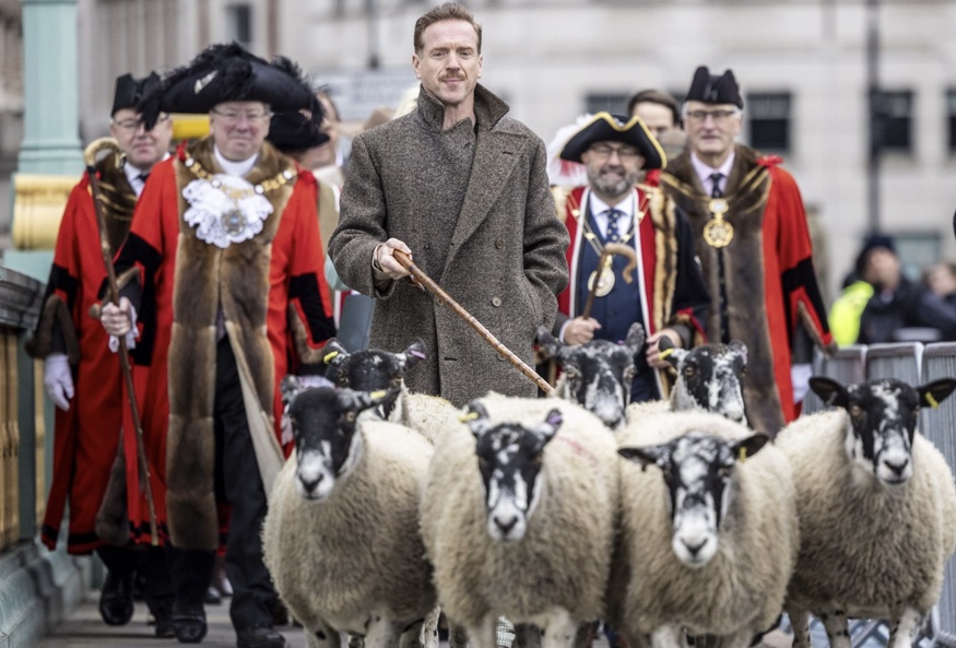 Damien Lewis herding sheep across a bridge
