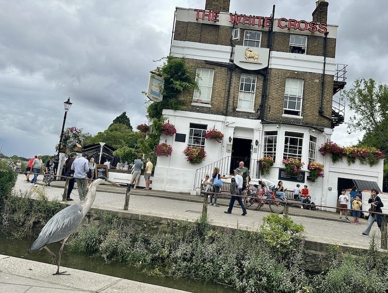 The White Cross pub in Richmond