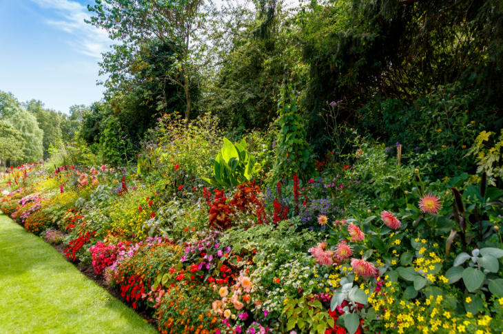 Things to do today in London: colourful flowerbeds in a park
