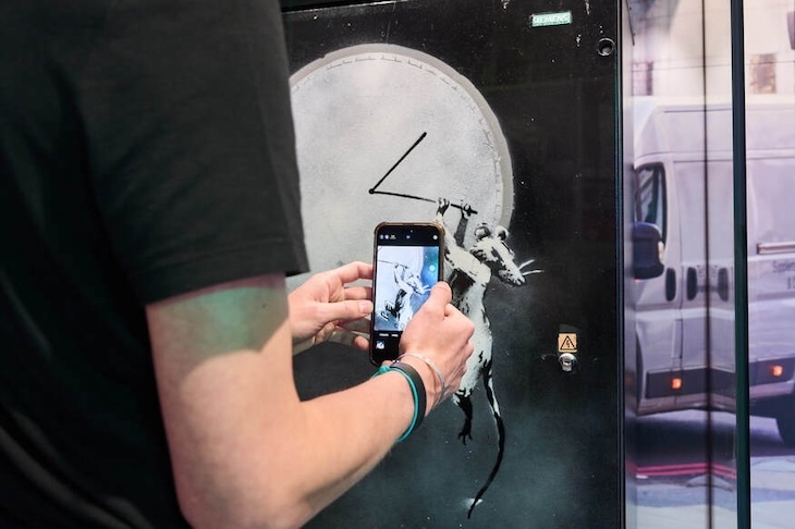 Someone photographing a Banksy rat