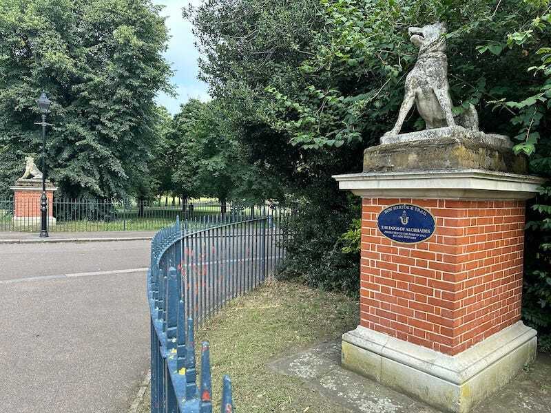 The dogs of albebiades in victoria park london