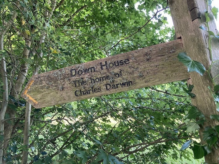 To Downe House