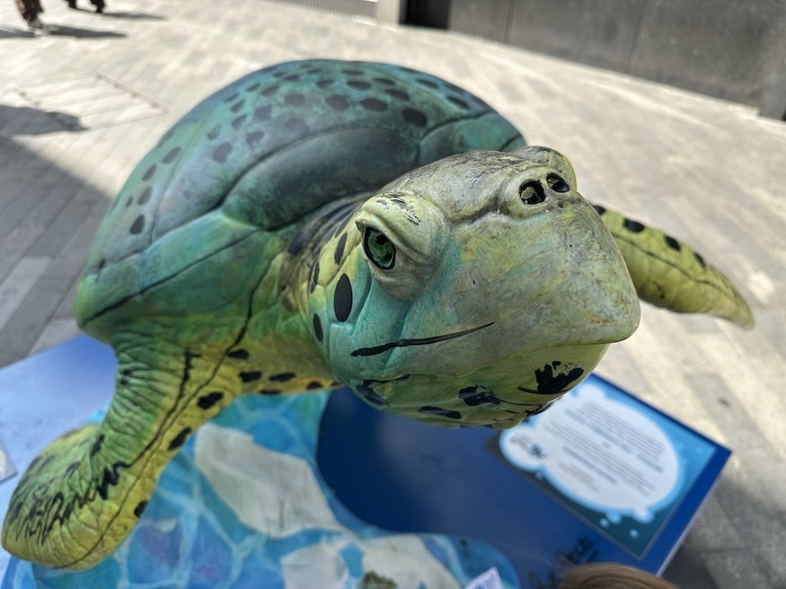 A Tusk turtle on dean street soho