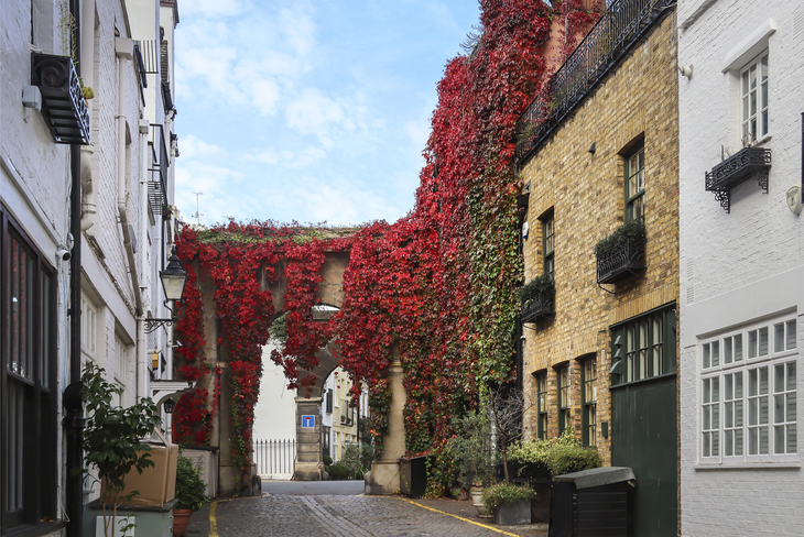 An autumnal mews