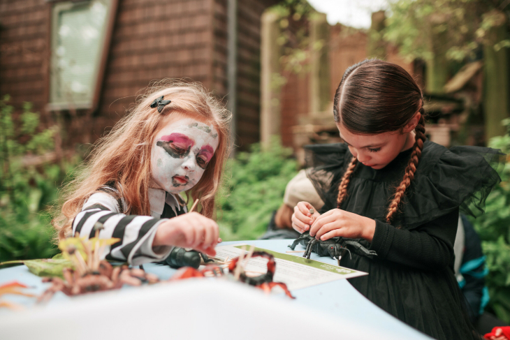 Two young girls dressed up for Halloween