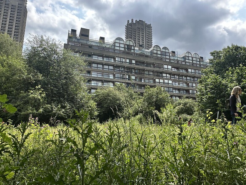 Fann Street garden