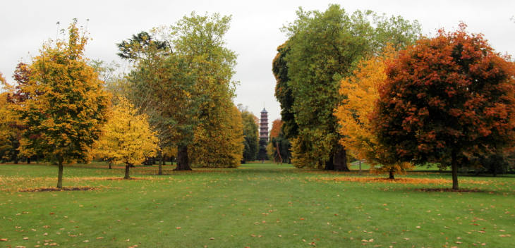 Autumn/fall walks in London: colourful trees lining a view towards Kew's pagoda