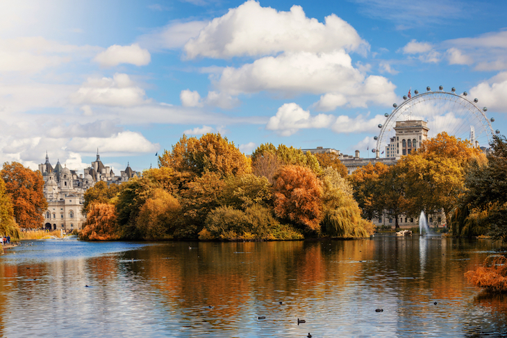 Autumn leaves in St James's Park, London