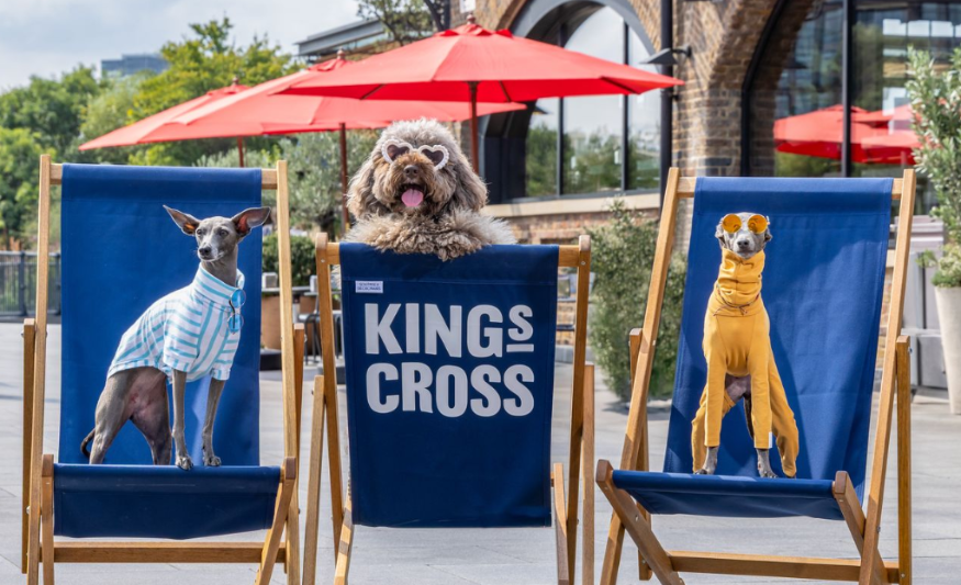 Free things to do in London: three dogs sitting in King's Cross branded deckchairs