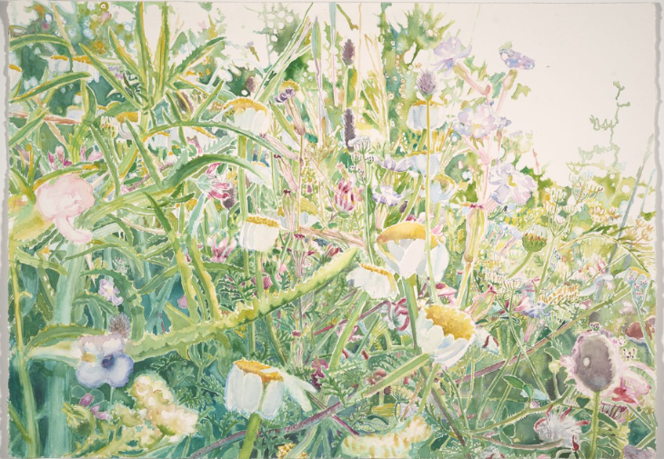 Things to do in London today: an artwork depicting wildflowers