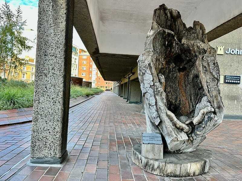 Mendelssohn tree in the barbican