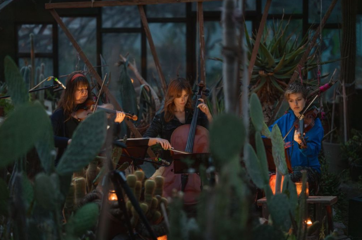 Things to do in London in October 2025: an orchestra performing, surrounded by plants