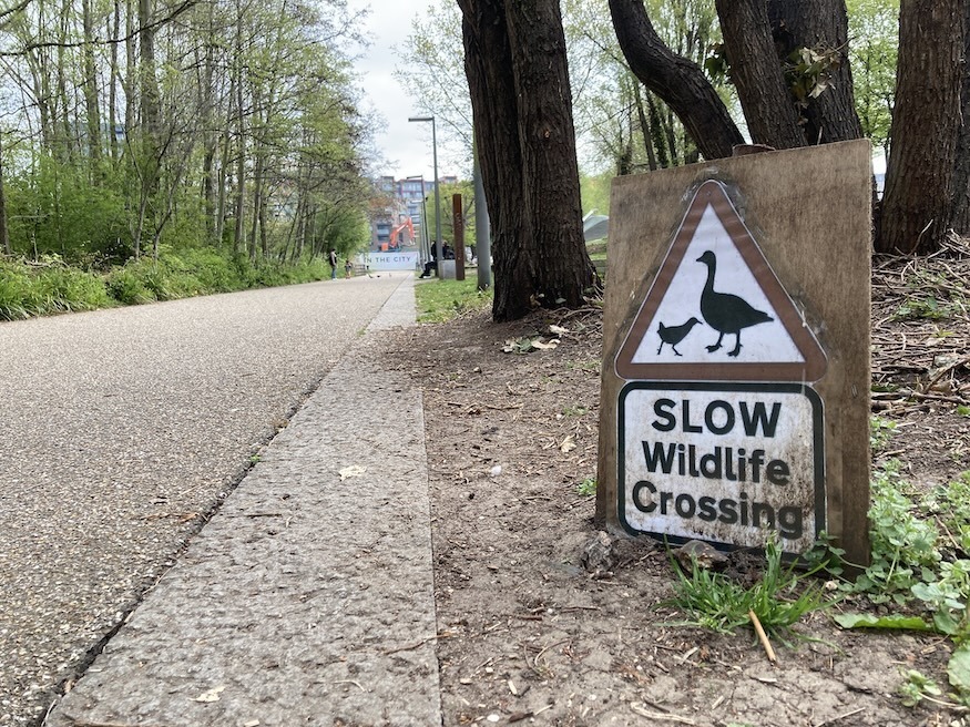 Slow wildlife crossing