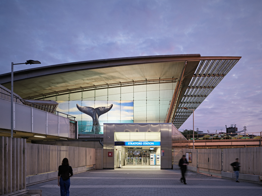 The whale tail in the windows