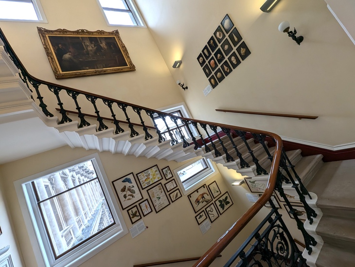 A staircase flanked with botanical artwork