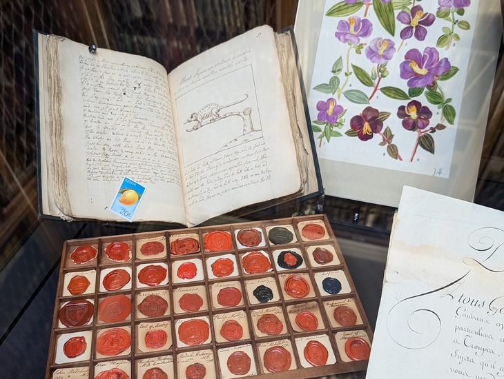 A collection of sketched and wax seals