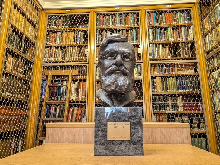 A bust of Alfred Russel Wallace