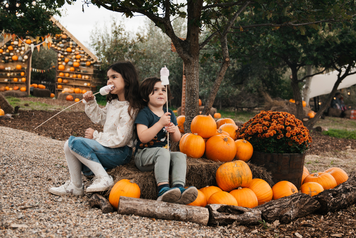 Two kids with marshmallows on sticks
