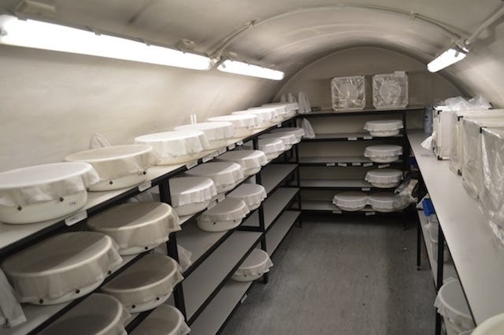 A basement full of mosquitos