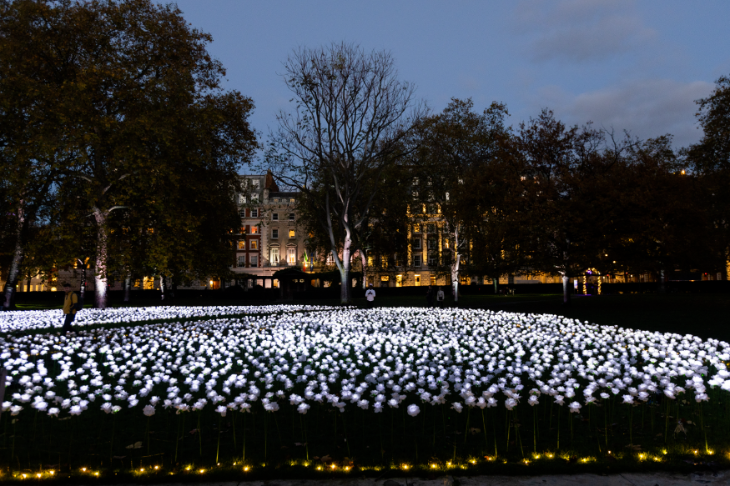 Christmas winter light festivals and trails London 2025: a glowing garden of thousands of illuminated white roses at the Ever After Garden in London at Christmas