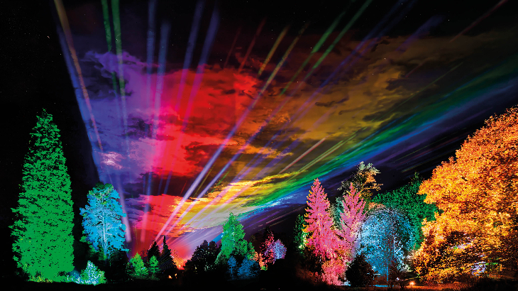 Winter light trails festivals near London Christmas 2025: a forest illuminated in colourful lights, with lasers shining into the sky